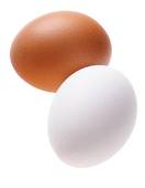 FE Brown and white egg