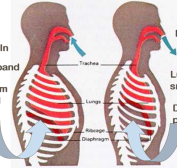 yoga-breathing