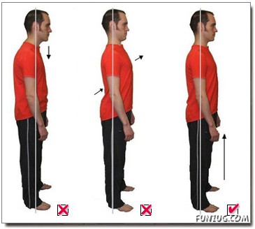 FE Posture Funzug