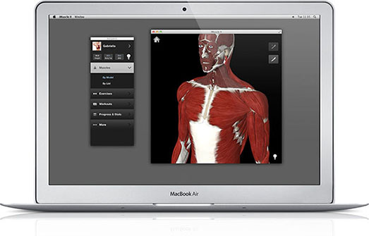 FE iMuscle2_mac_screeshot