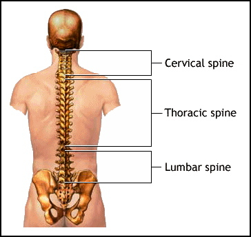 All About Upper Back Pain Spine-health