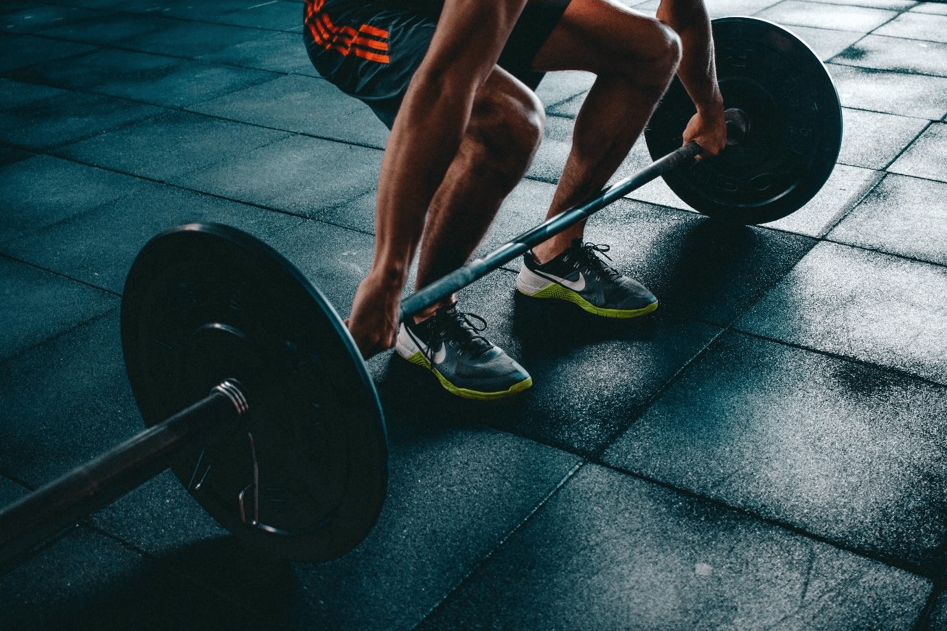 A person in a Gym lifting weights